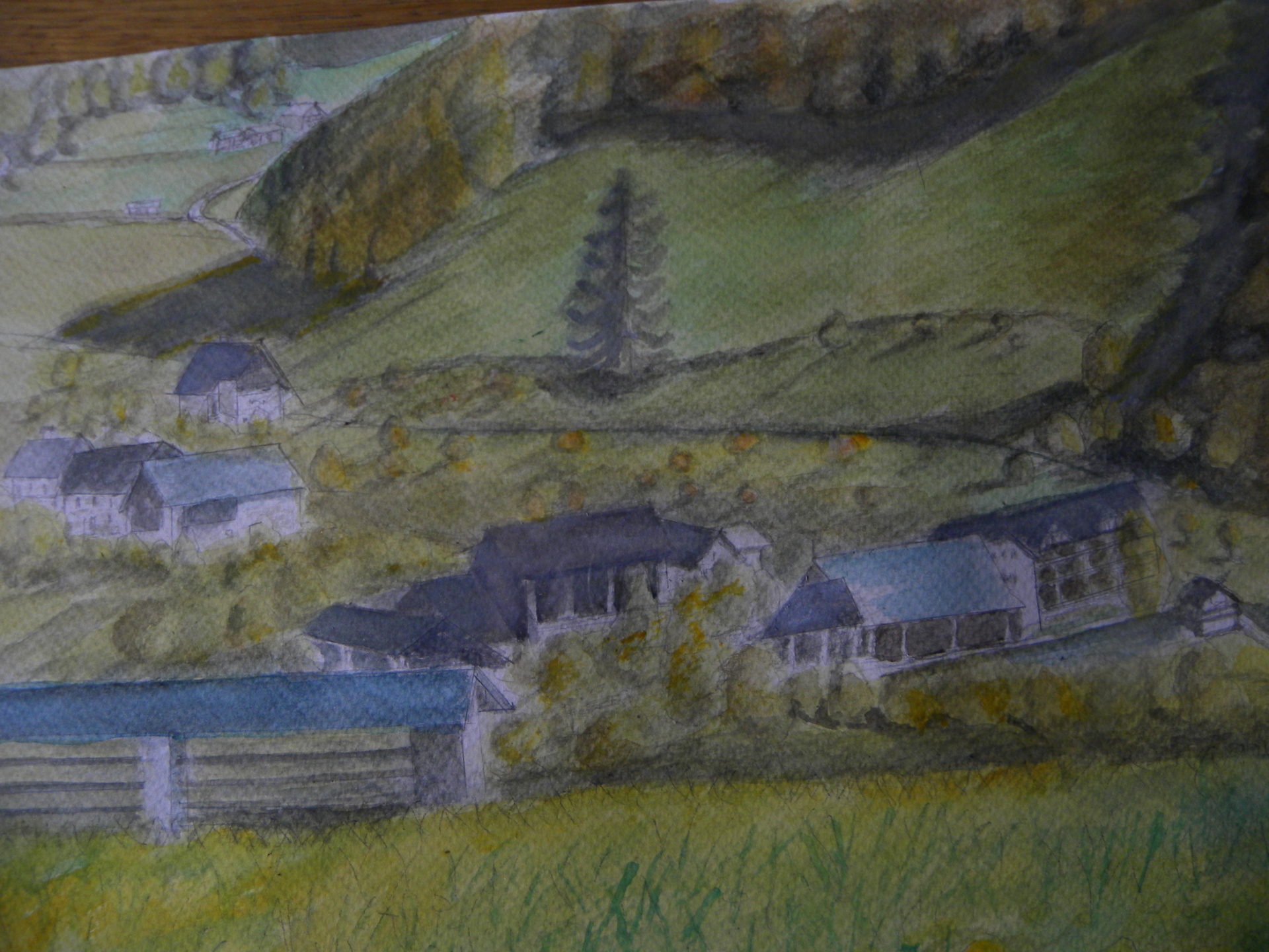 Sp. Sorica, akvarel je posnet po fotografiji, foto Ivan Kejžar.